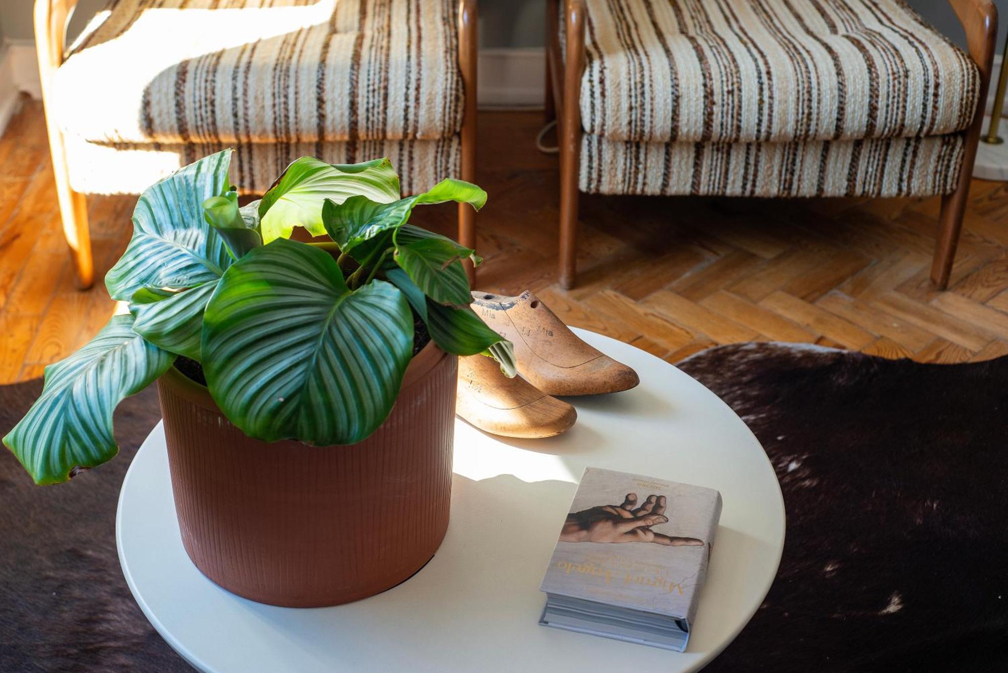 Graca - Castle | Lisbon Cheese & Wine Apartments エクステリア 写真